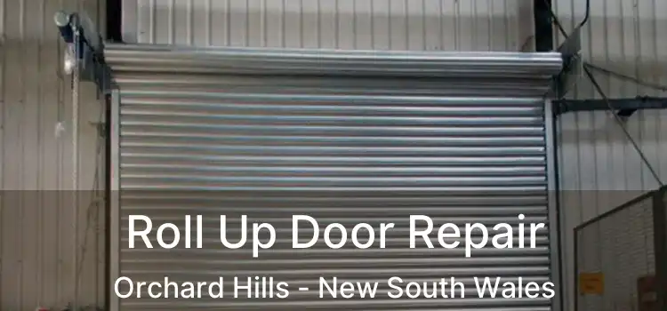 Roll Up Door Repair Orchard Hills - New South Wales