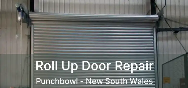 Roll Up Door Repair Punchbowl - New South Wales