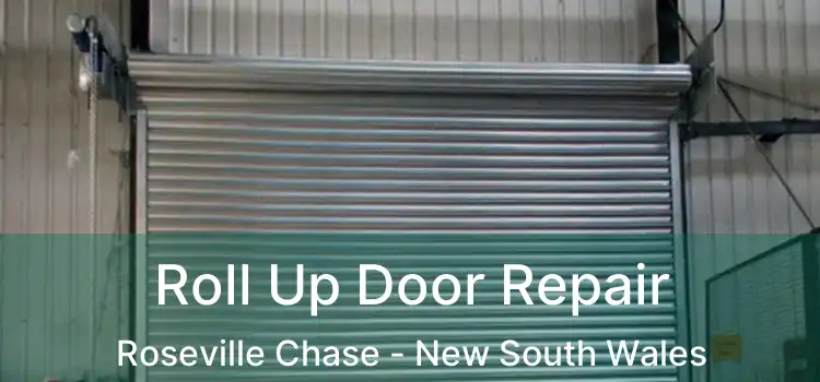 Roll Up Door Repair Roseville Chase - New South Wales