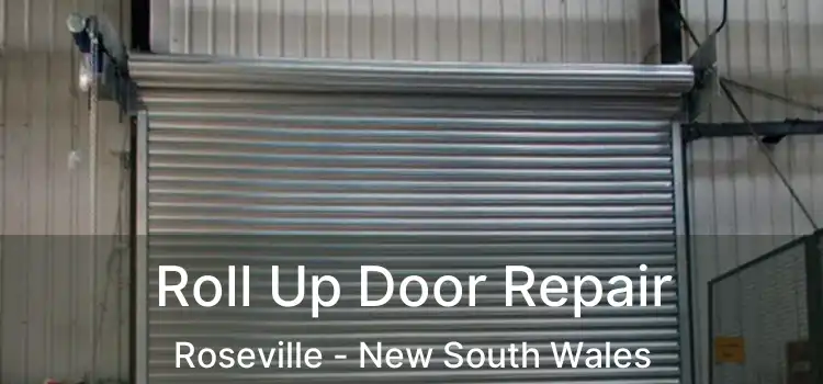 Roll Up Door Repair Roseville - New South Wales