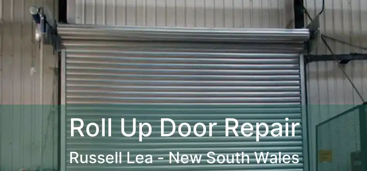 Roll Up Door Repair Russell Lea - New South Wales
