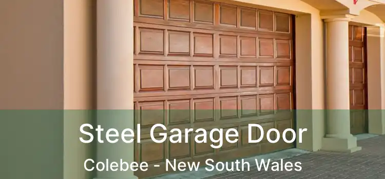 Steel Garage Door Colebee - New South Wales